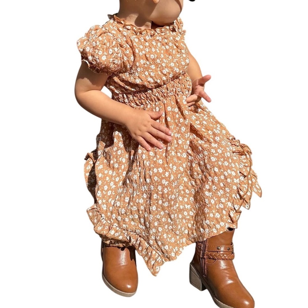 Little Lass Baby Girls Floral Smocked Dress Rust Brown Daisy Ruffle 12M